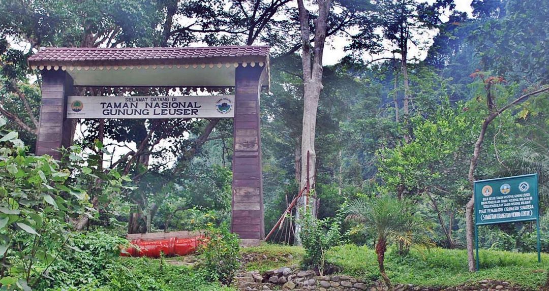 LeuserEcosystem