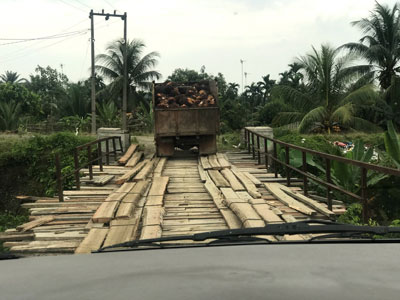 Learn first-hand about the issues brought about by the demand for palm oil.
