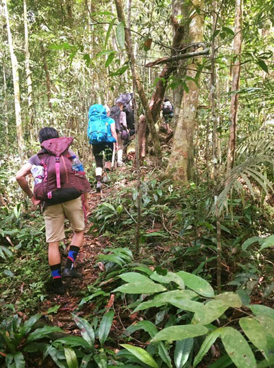 Jungle trekking