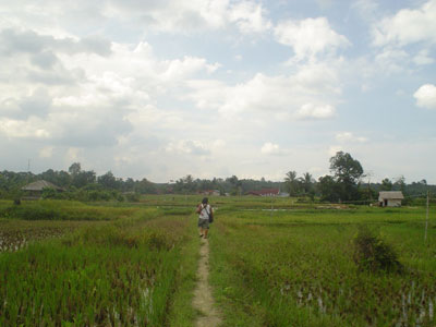Cultural Tours