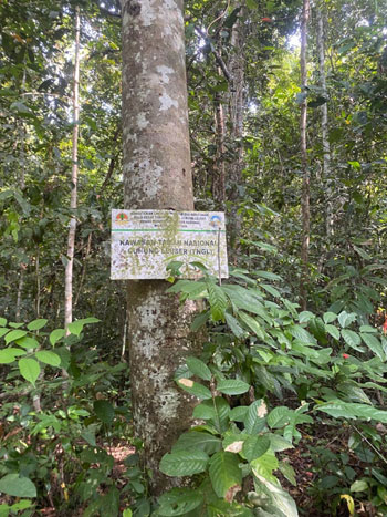 Signs bordering the National Park
