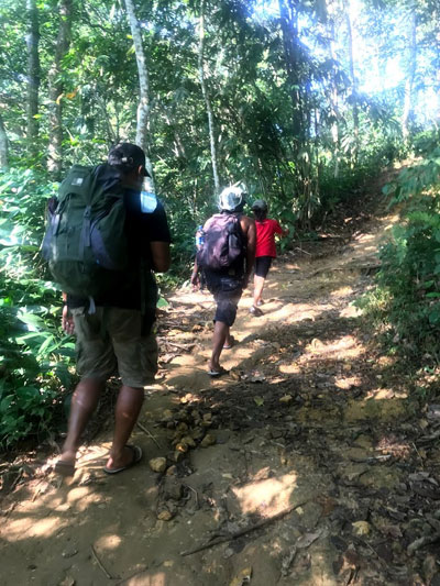 Take a walk to the community forests to learn about rubber, durian and chocolate growing.