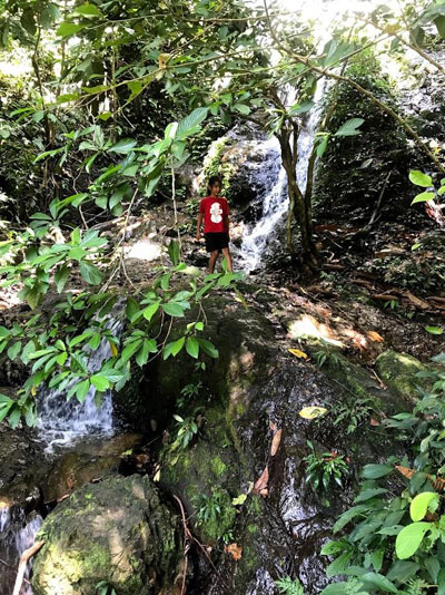 Jungle waterfall